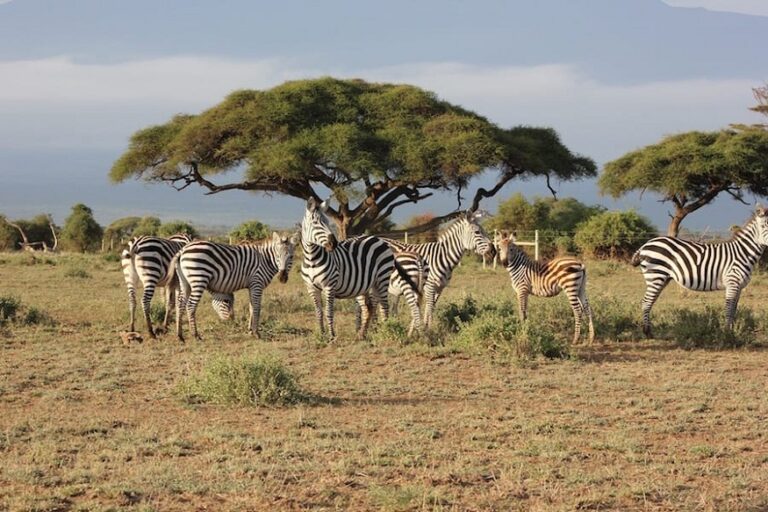 Landmarks in East Africa