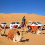 Dubai Desert Safari